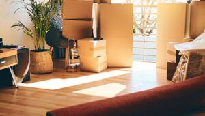 Packers and Movers Whitefield