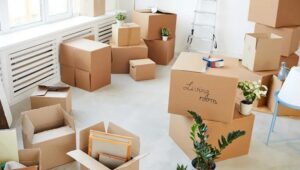 Packers and Movers Sarjapur Road