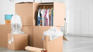 Packers and Movers RT Nagar