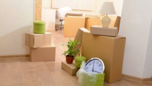 Packers and Movers Marathahalli