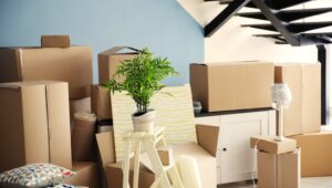 Packers and Movers Malleshwaram