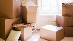 Packers and Movers Kadugodi