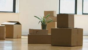 Packers and Movers JP Nagar