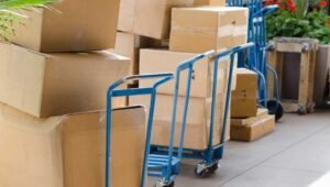 Packers and Movers Electronic City