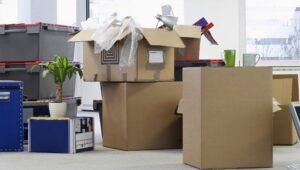 Packers and Movers Domlur